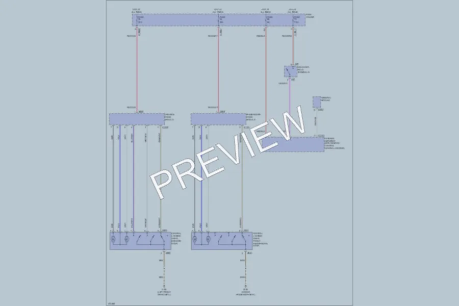 2000 BMW X5 Power Door Locks wiring diagram preview