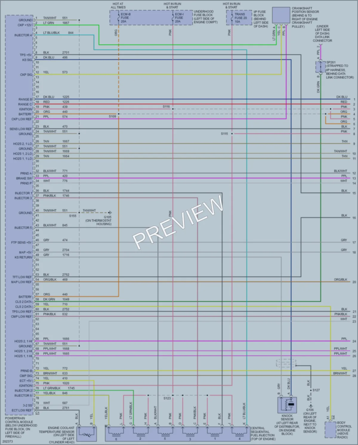 2005 GMC Safari Engine Performance wiring diagram preview