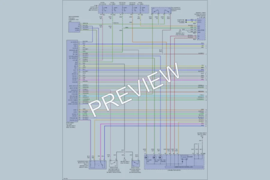 2005 Nissan Murano Power Door Locks wiring diagram preview
