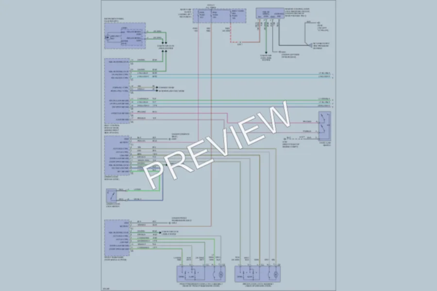 2006 Cadillac DTS Power Door Locks wiring diagram preview