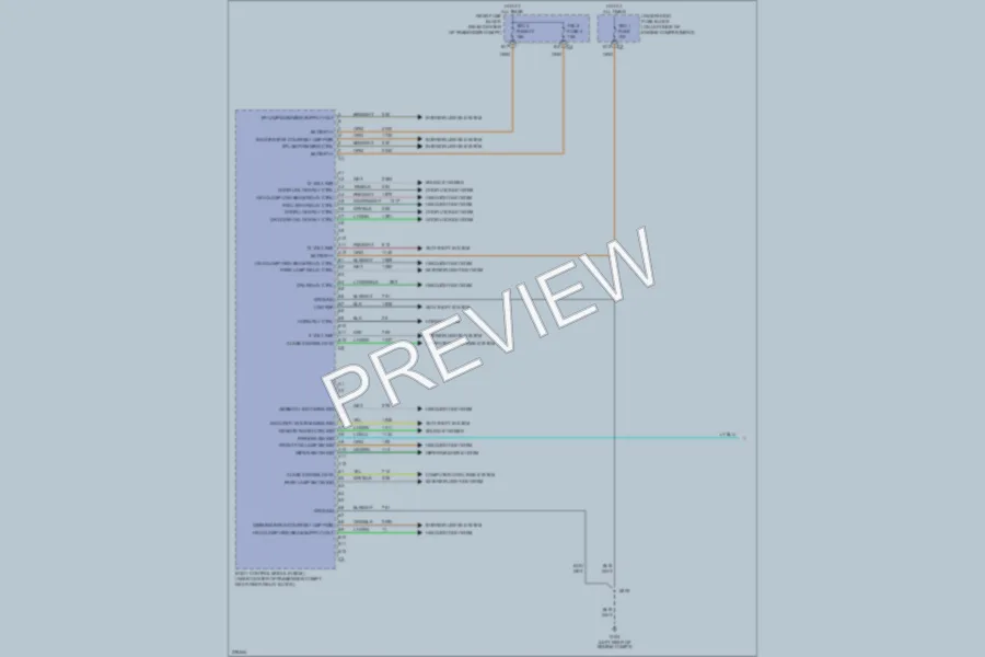 2006 Chevrolet SSR Body Control Modules wiring diagram preview