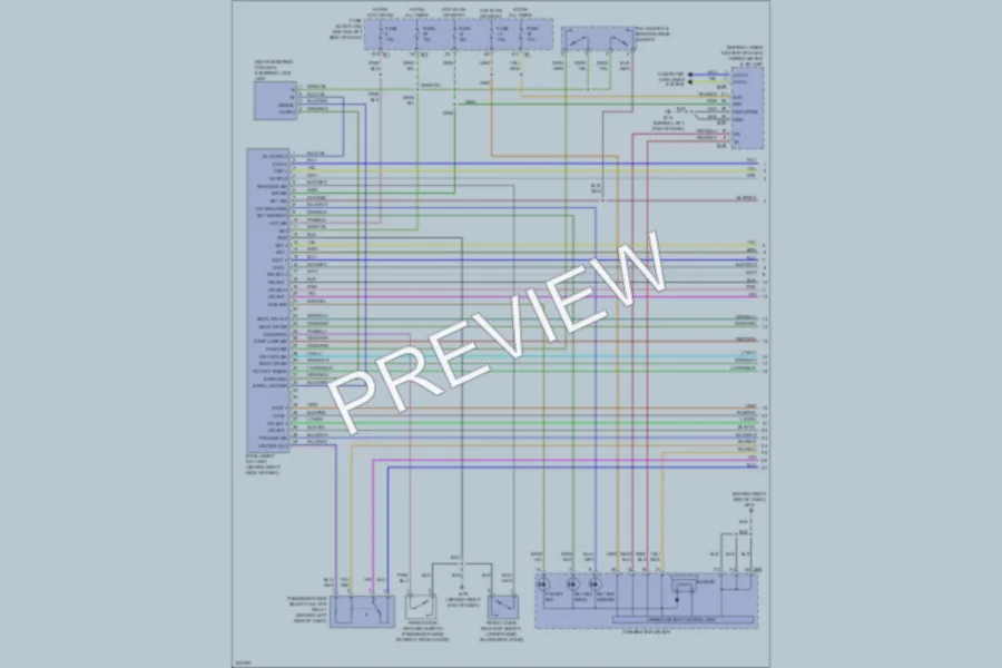 2006 Nissan Murano Power Door Locks wiring diagram preview