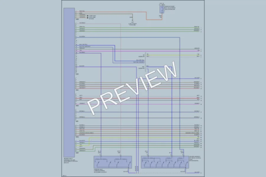 2006 Volkswagen Passat Memory Systems wiring diagram preview
