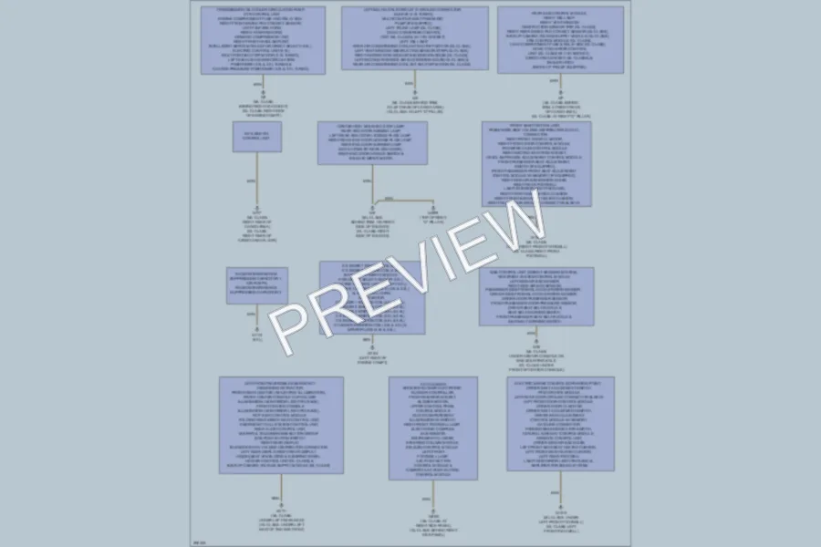 2007 MercedesBenz ML500 Ground Distribution wiring diagram preview