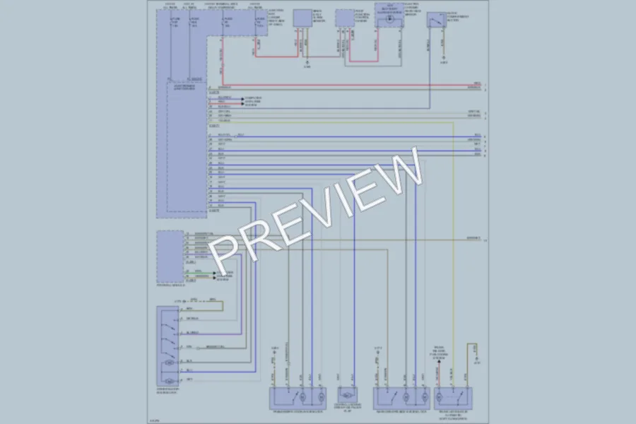 2008 BMW X6 Power Door Locks wiring diagram preview