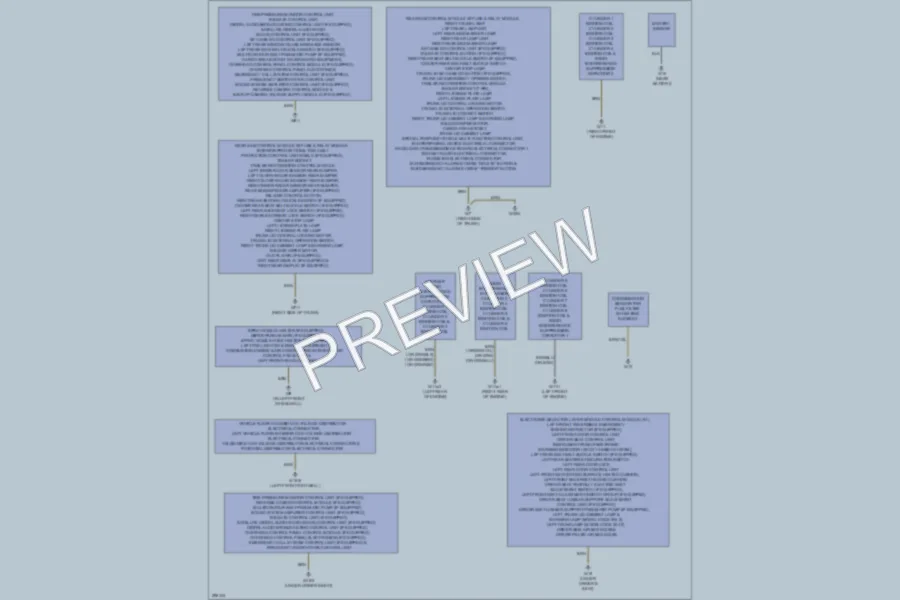 2008 MercedesBenz C300 Ground Distribution wiring diagram preview