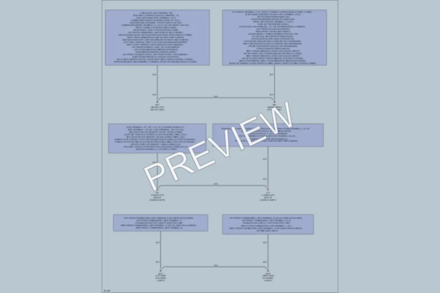 2008 Nissan Altima Ground Distribution wiring diagram preview