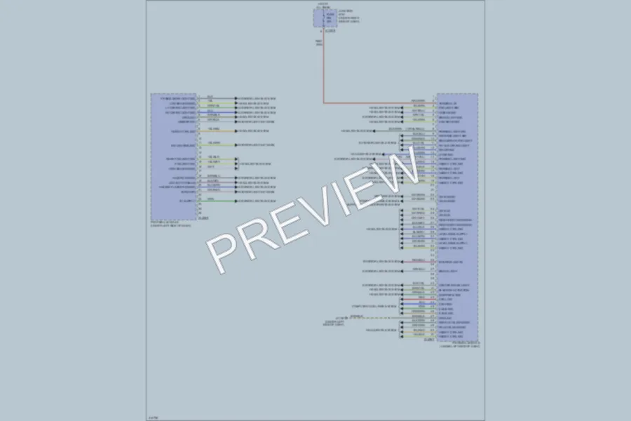 2009 BMW 328i Body Control Modules wiring diagram preview