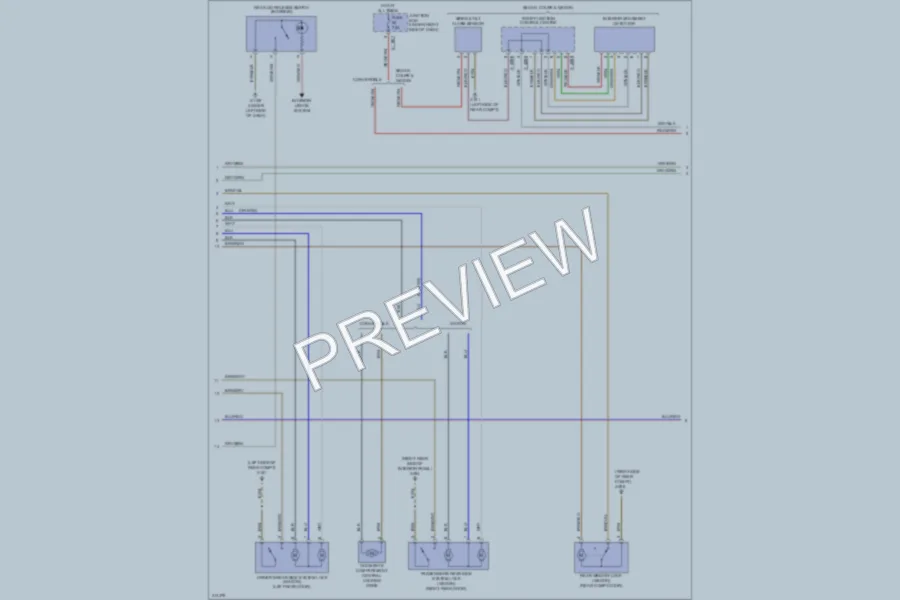 2009 BMW 335i Anti Theft wiring diagram preview