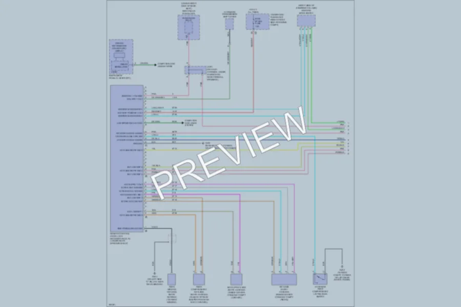 2009 Cadillac STS Power Door Locks wiring diagram preview