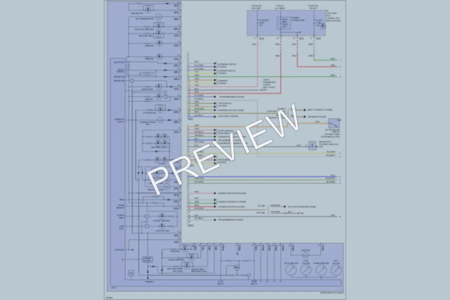 2009 Kia Rio5 Instrument Cluster wiring diagram preview