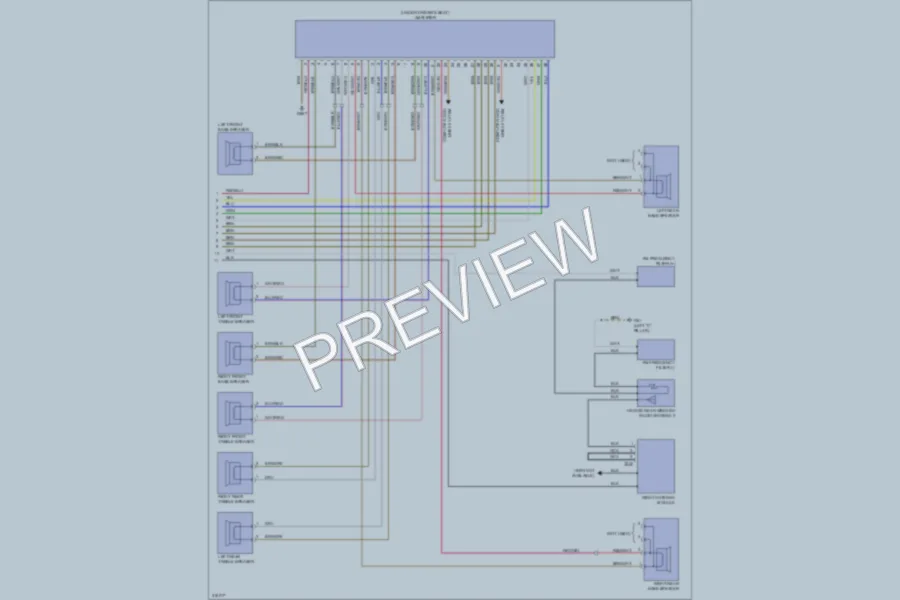 2009 Volkswagen Tiguan Radio wiring diagram preview