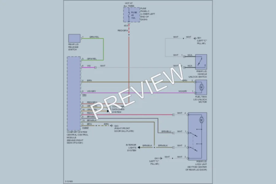 2009 Volkswagen Tiguan Trunk Tailgate Fuel Door wiring diagram preview