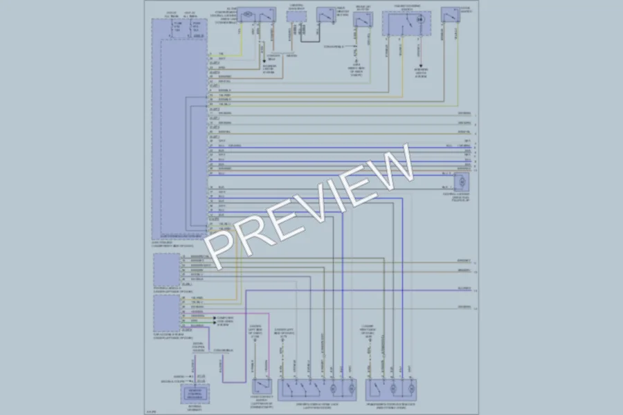 2010 BMW 328i Power Door Locks wiring diagram preview