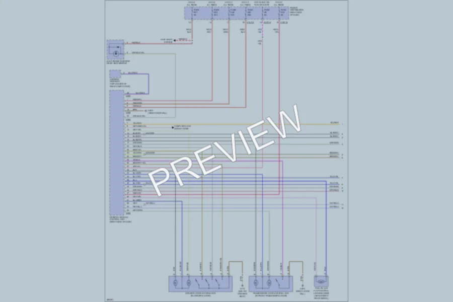 2010 BMW X3 Power Door Locks wiring diagram preview