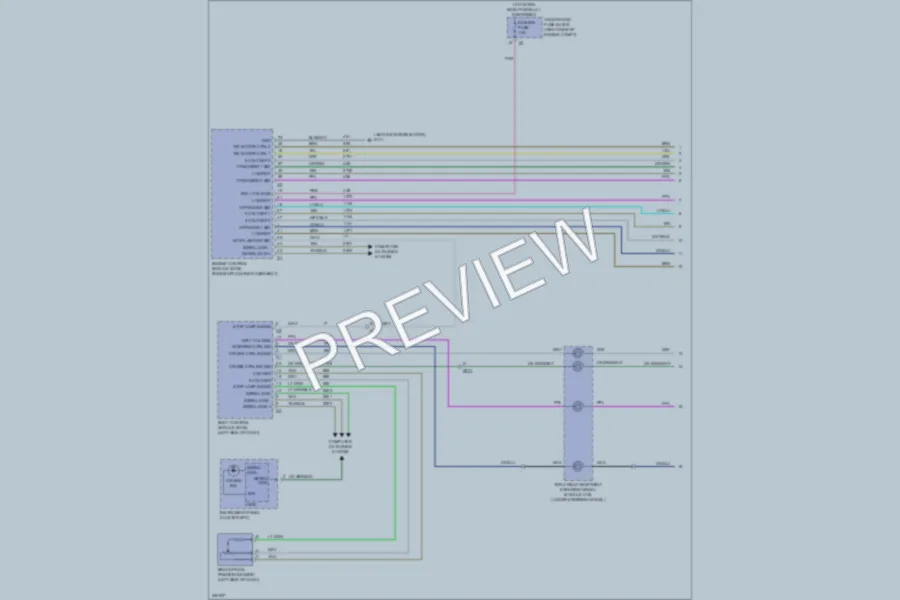2010 Chevrolet Impala Cruise Control wiring diagram preview