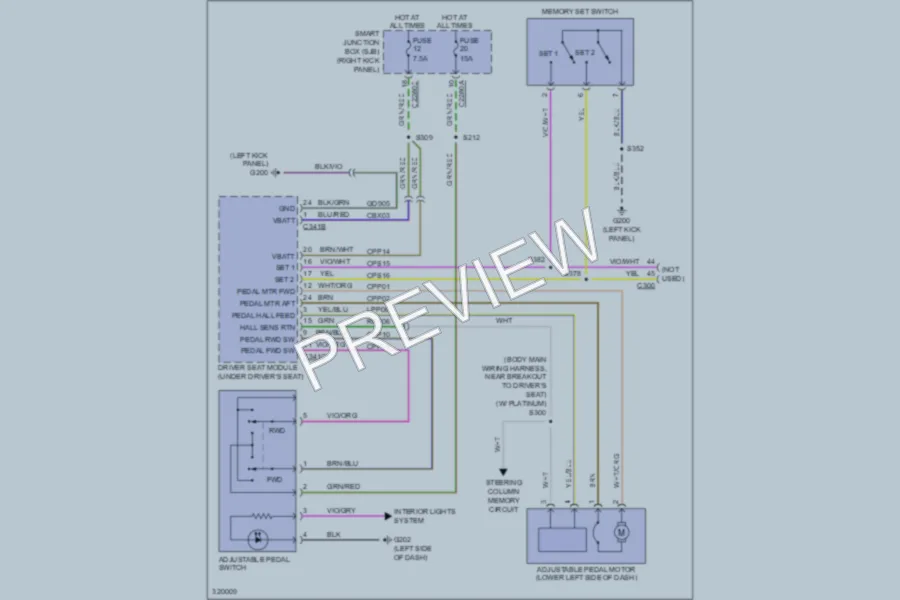 2010 Ford F150 Memory Systems wiring diagram preview