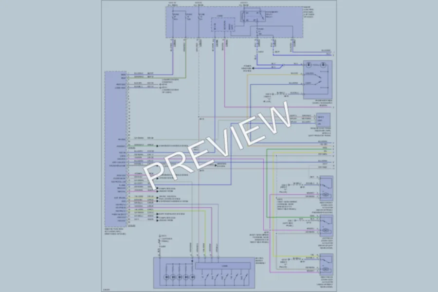 2010 Lincoln MKS Anti Theft wiring diagram preview