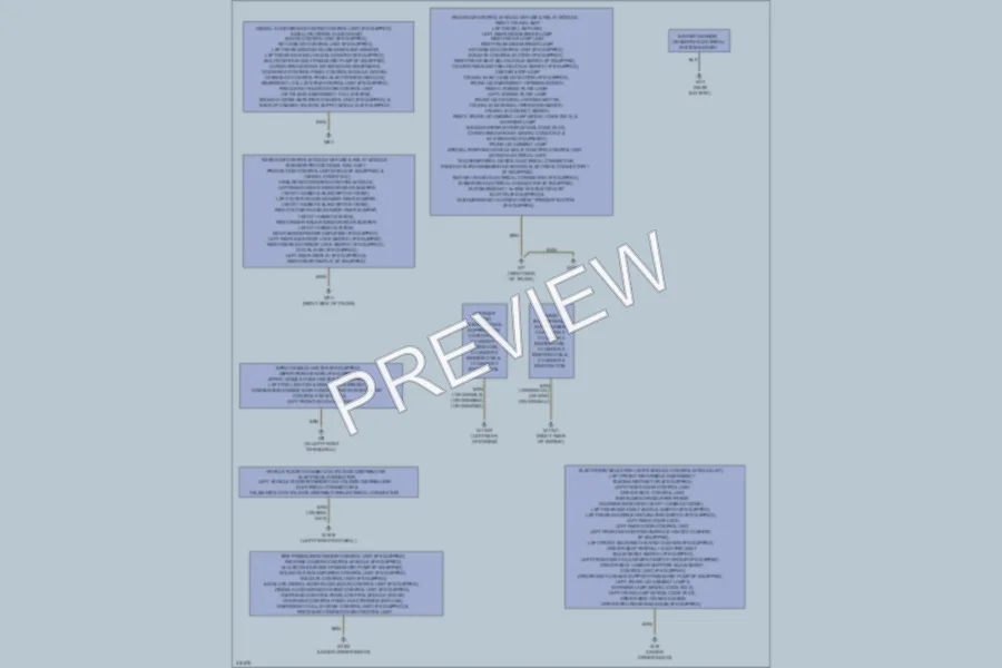 2010 MercedesBenz C300 Ground Distribution wiring diagram preview