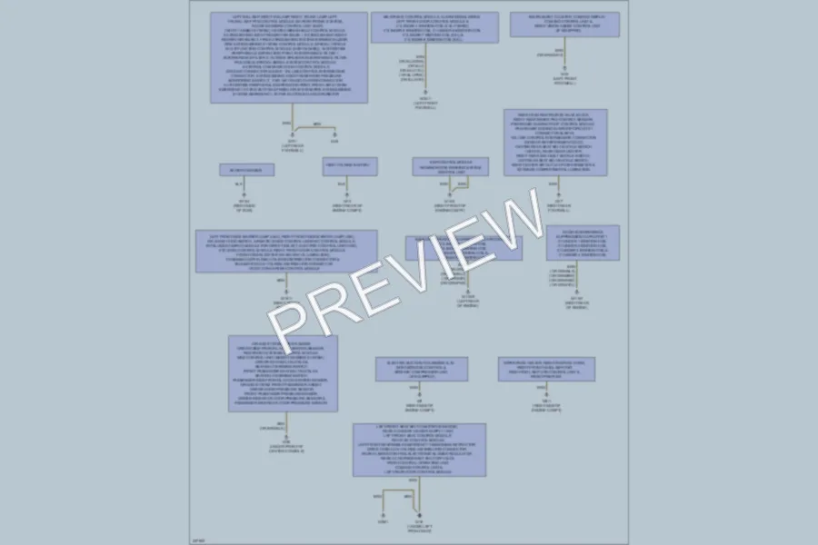 2010 MercedesBenz S400HYBRID Ground Distribution wiring diagram preview