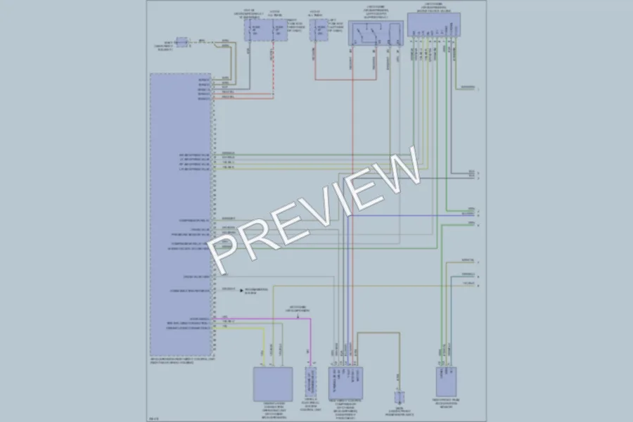 2010 Porsche Cayenne Electronic Suspension wiring diagram preview