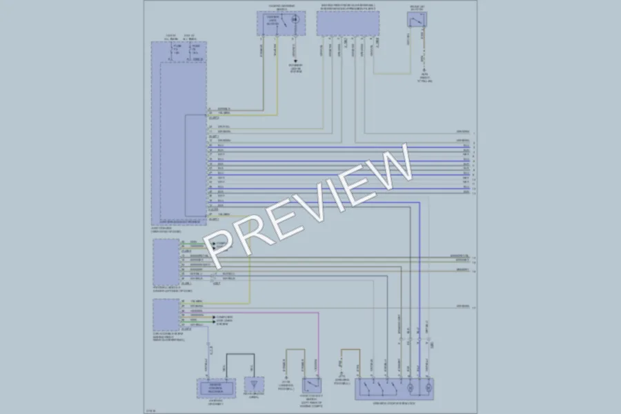 2012 BMW X1 Power Door Locks wiring diagram preview