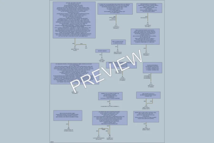 2012 MercedesBenz S350BLUETEC Ground Distribution wiring diagram preview
