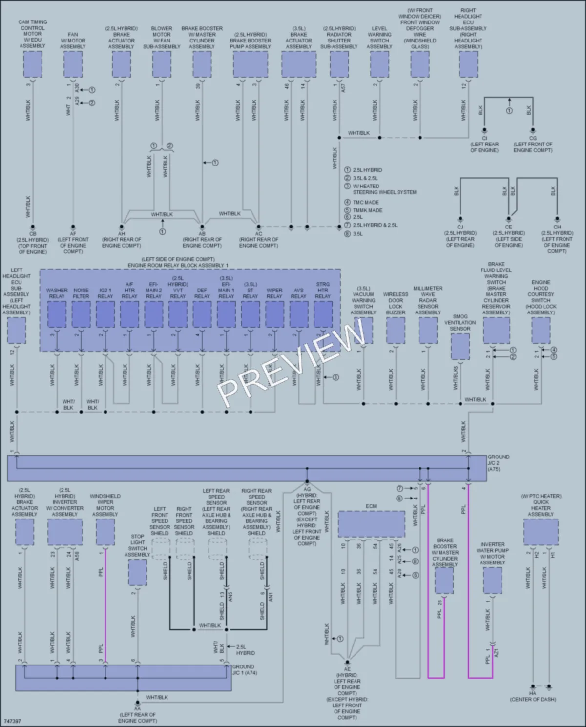 2021 Lexus ES250 Ground Distribution wiring diagram preview