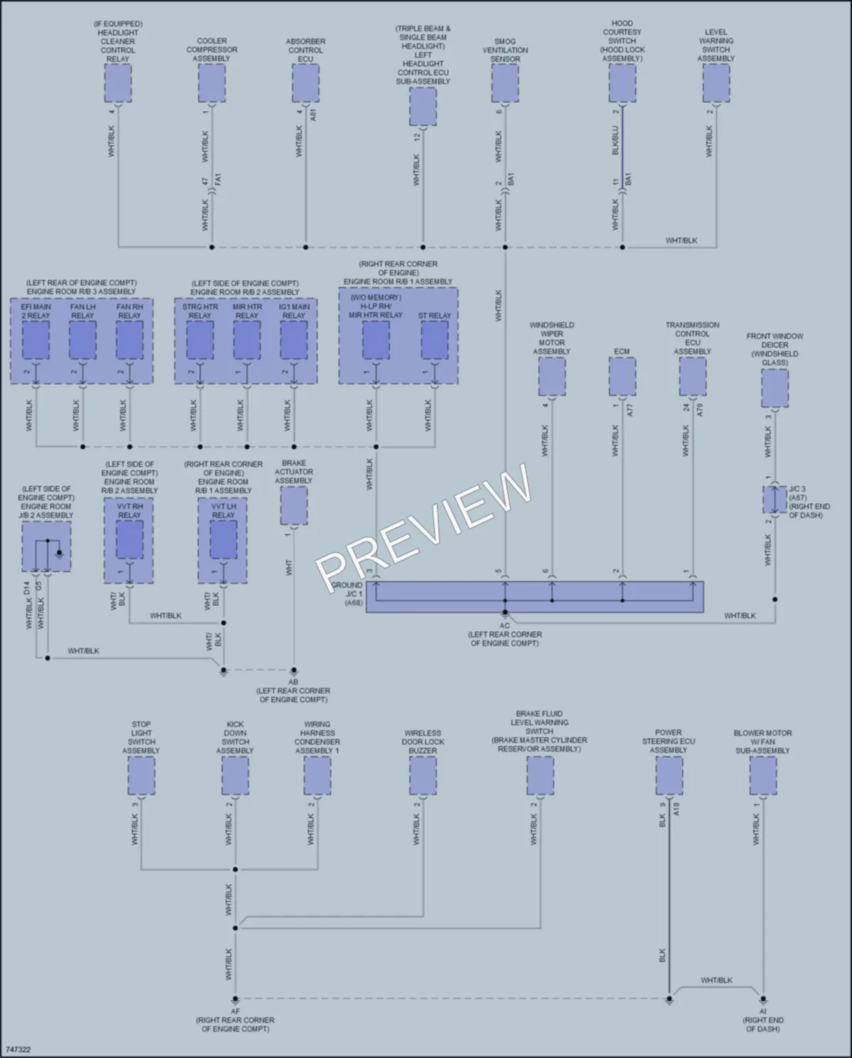 2021 Lexus RCF Ground Distribution wiring diagram preview