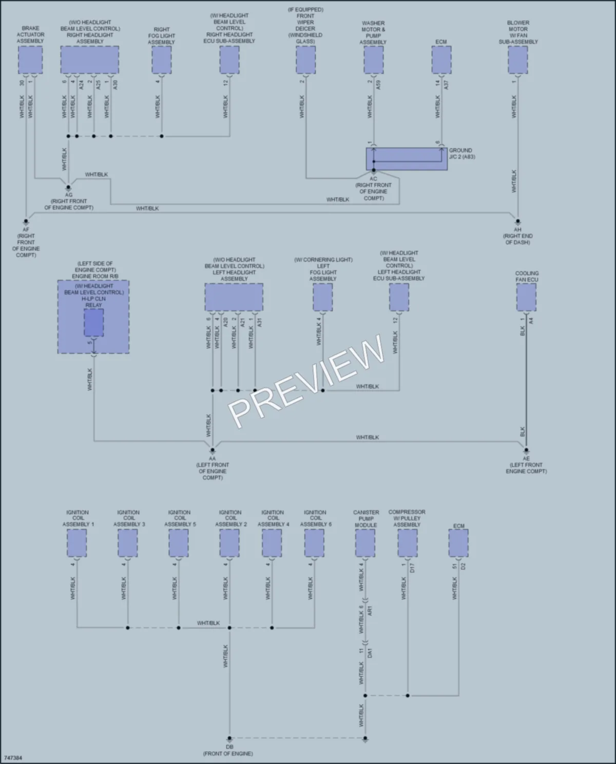 2021 Lexus RX350 Ground Distribution wiring diagram preview