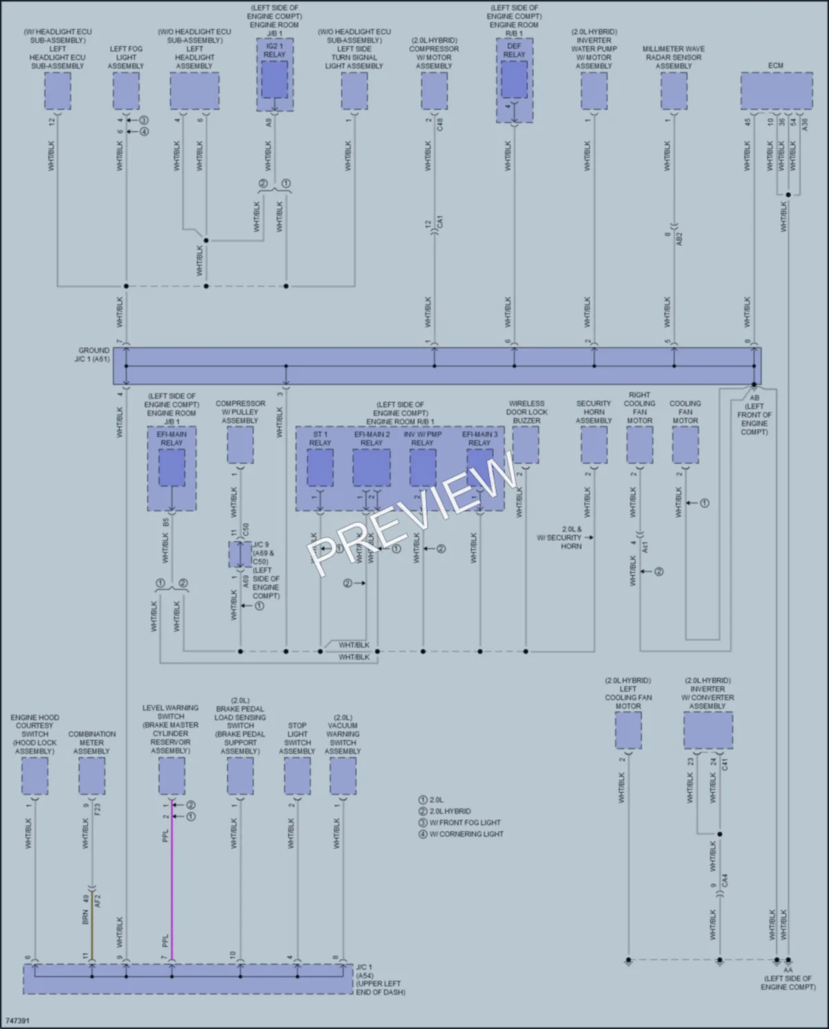 2021 Lexus UX200 Ground Distribution wiring diagram preview