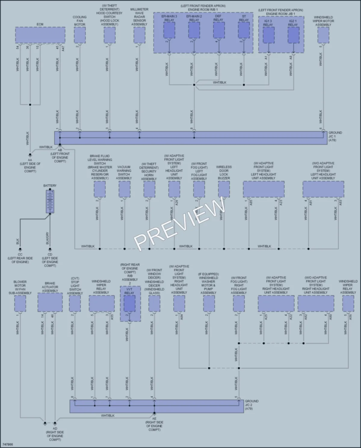 2021 Toyota Corolla Ground Distribution wiring diagram preview