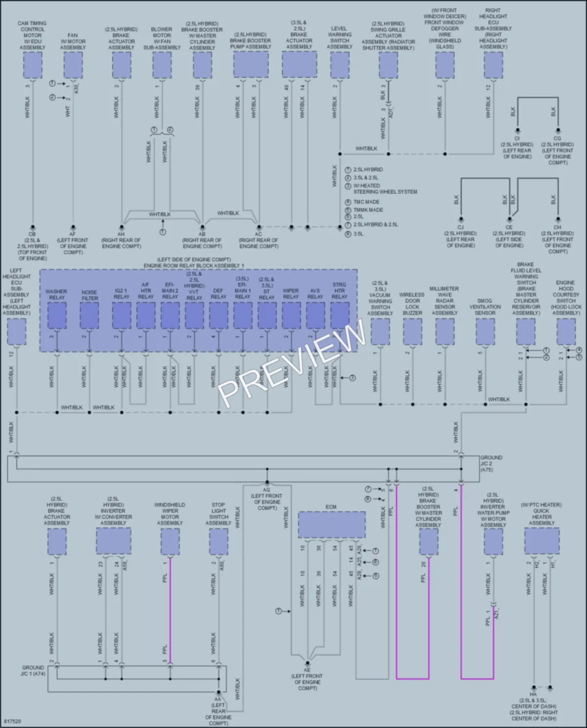 2023 Lexus ES250 Ground Distribution wiring diagram preview