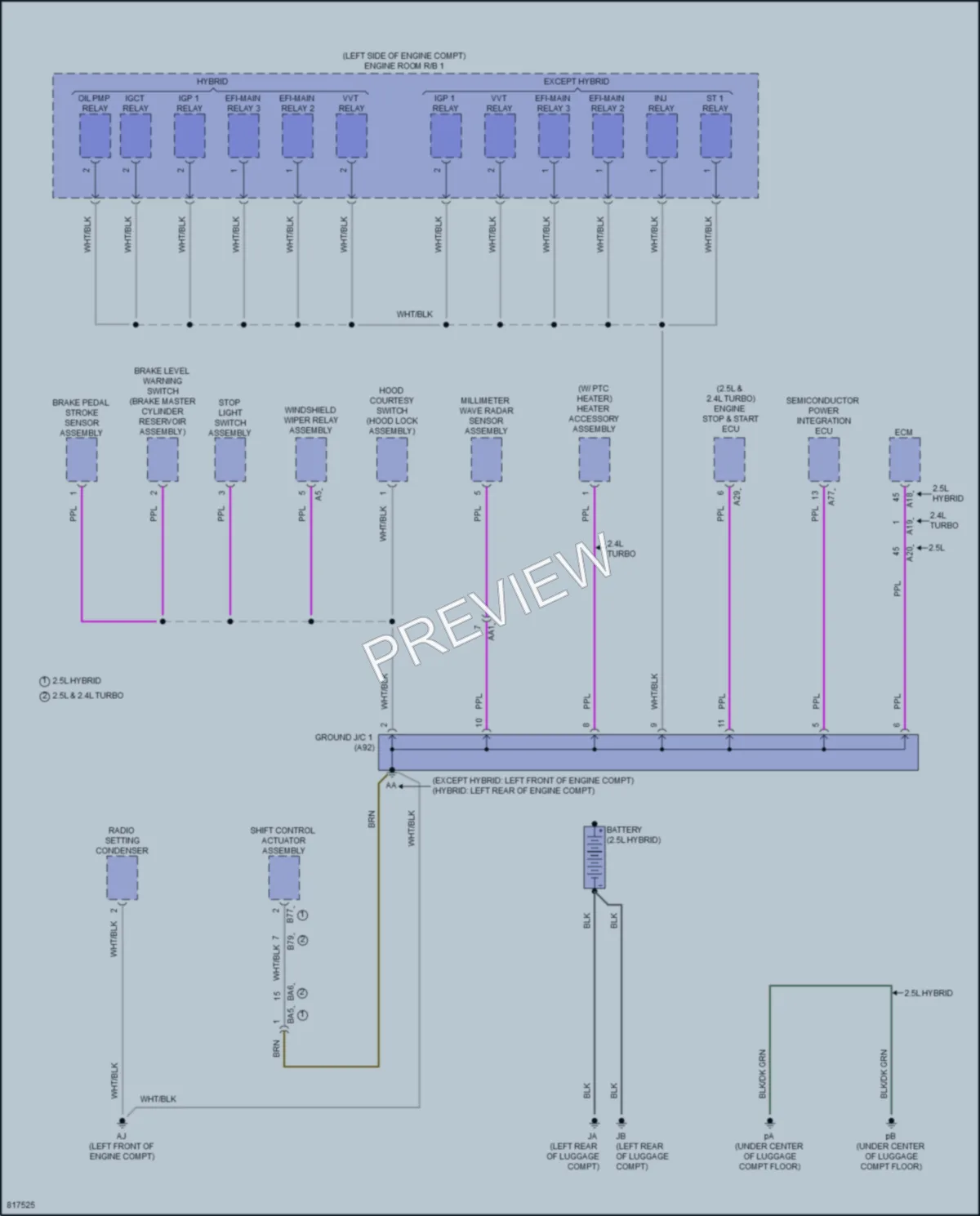 2023 Lexus NX350h Ground Distribution wiring diagram preview