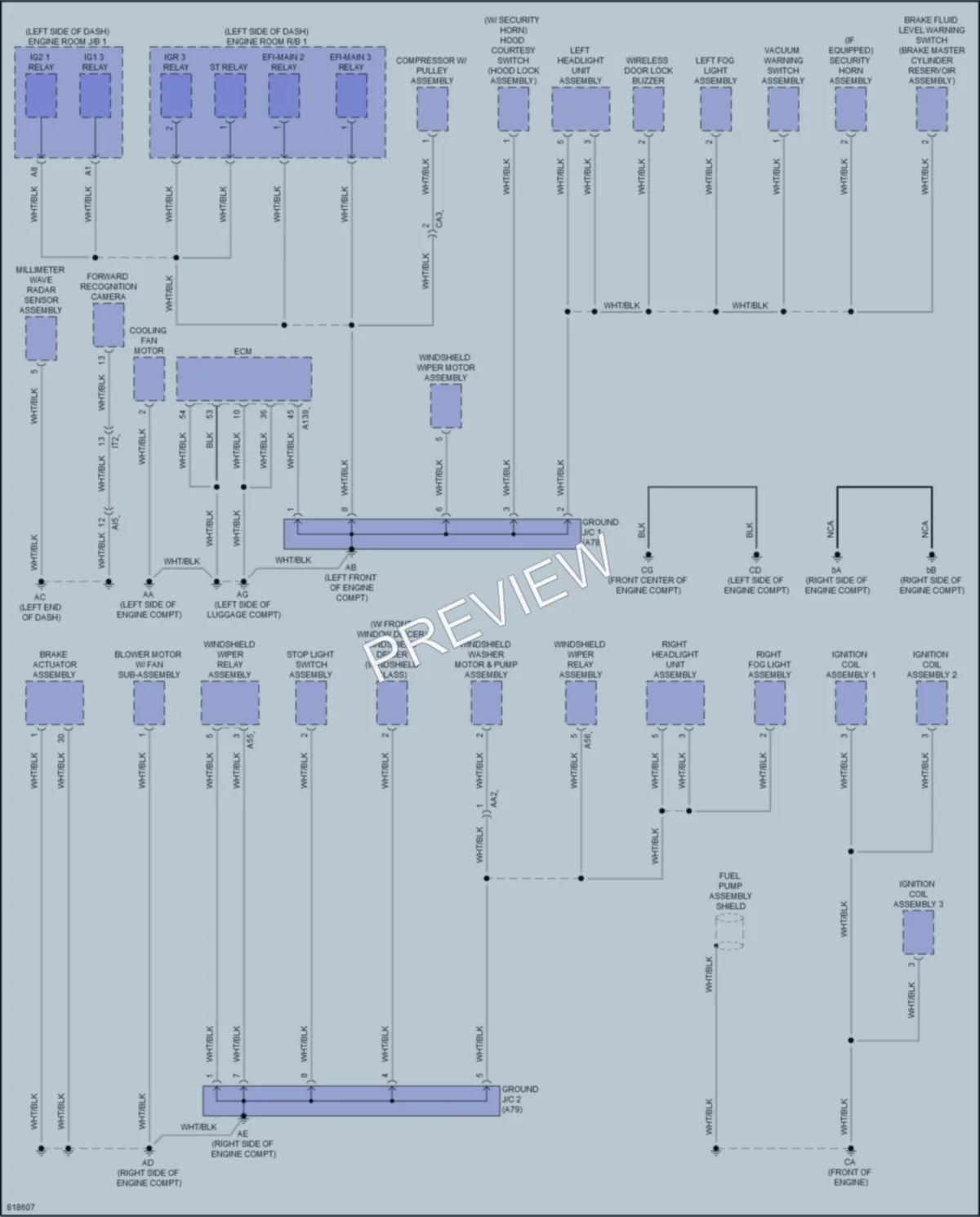 2023 Toyota GRCorolla Ground Distribution wiring diagram preview