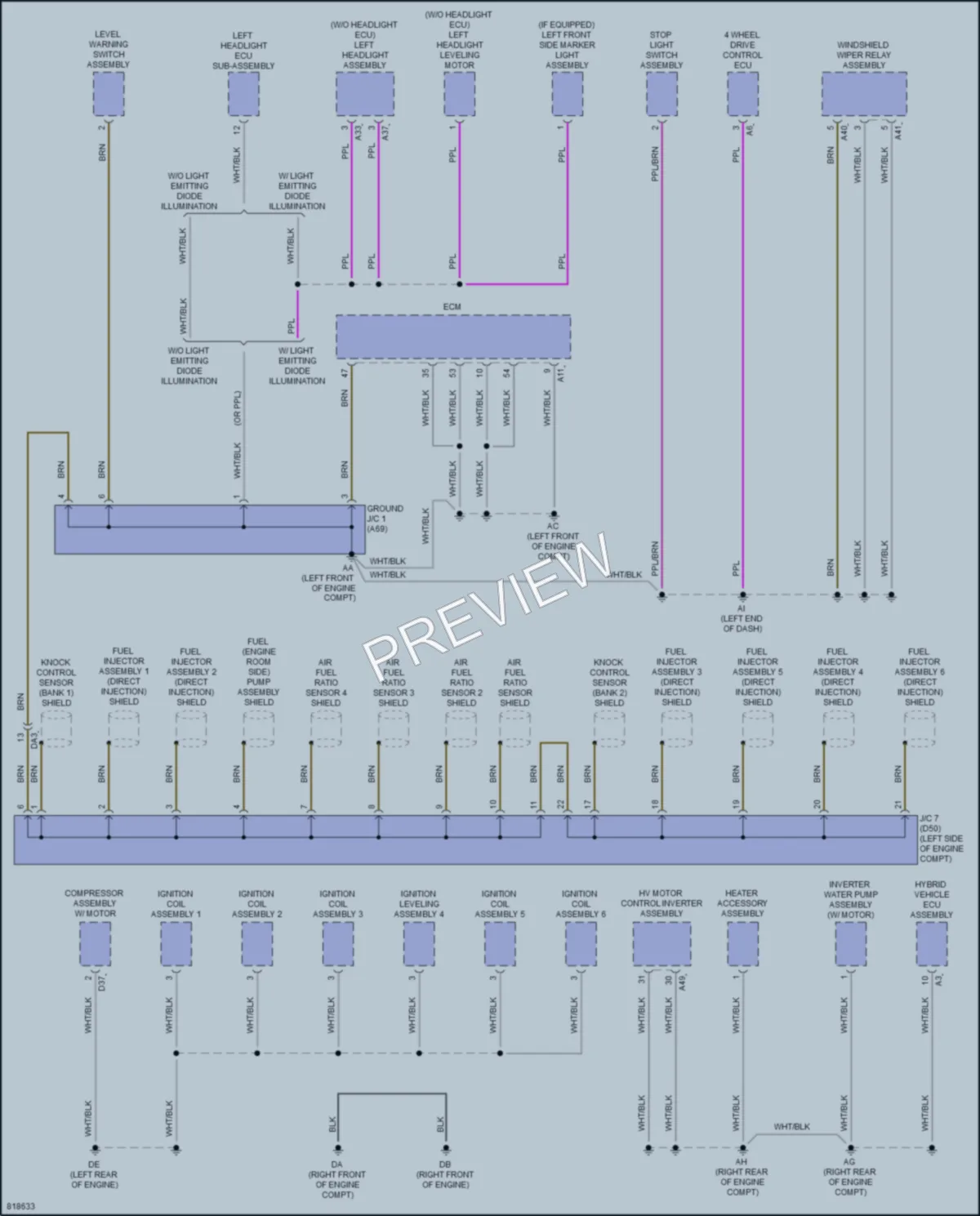 2023 Toyota Sequoia Ground Distribution wiring diagram preview