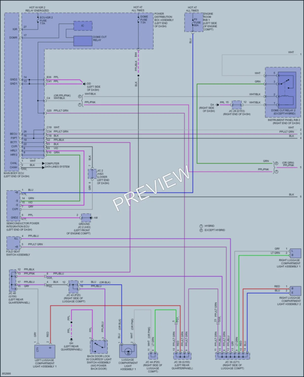 2024 Lexus NX250 Interior Lights wiring diagram preview
