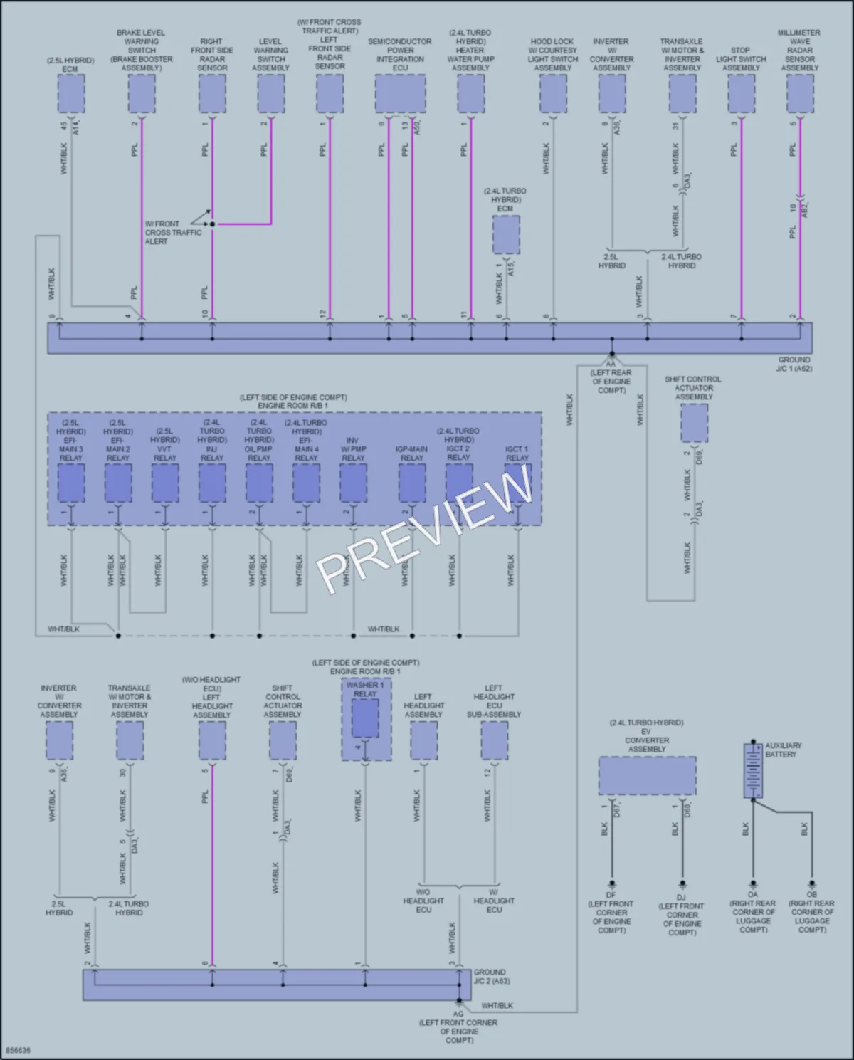 2024 Toyota CrownHybrid Ground Distribution wiring diagram preview