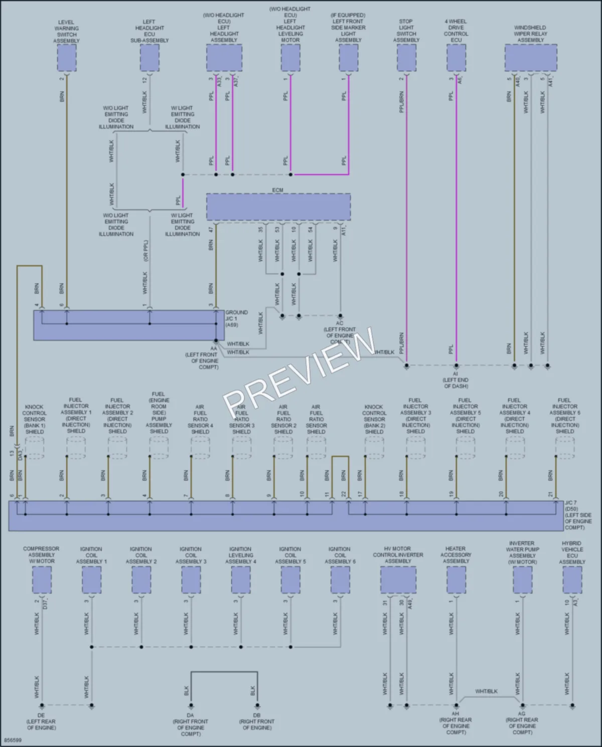 2024 Toyota Sequoia Ground Distribution wiring diagram preview